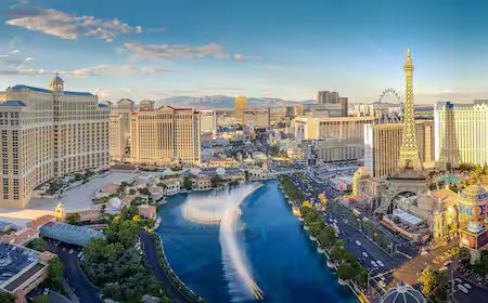 Linea Las Vegas – Spugna 500 Grammi - Bagno per Hotel