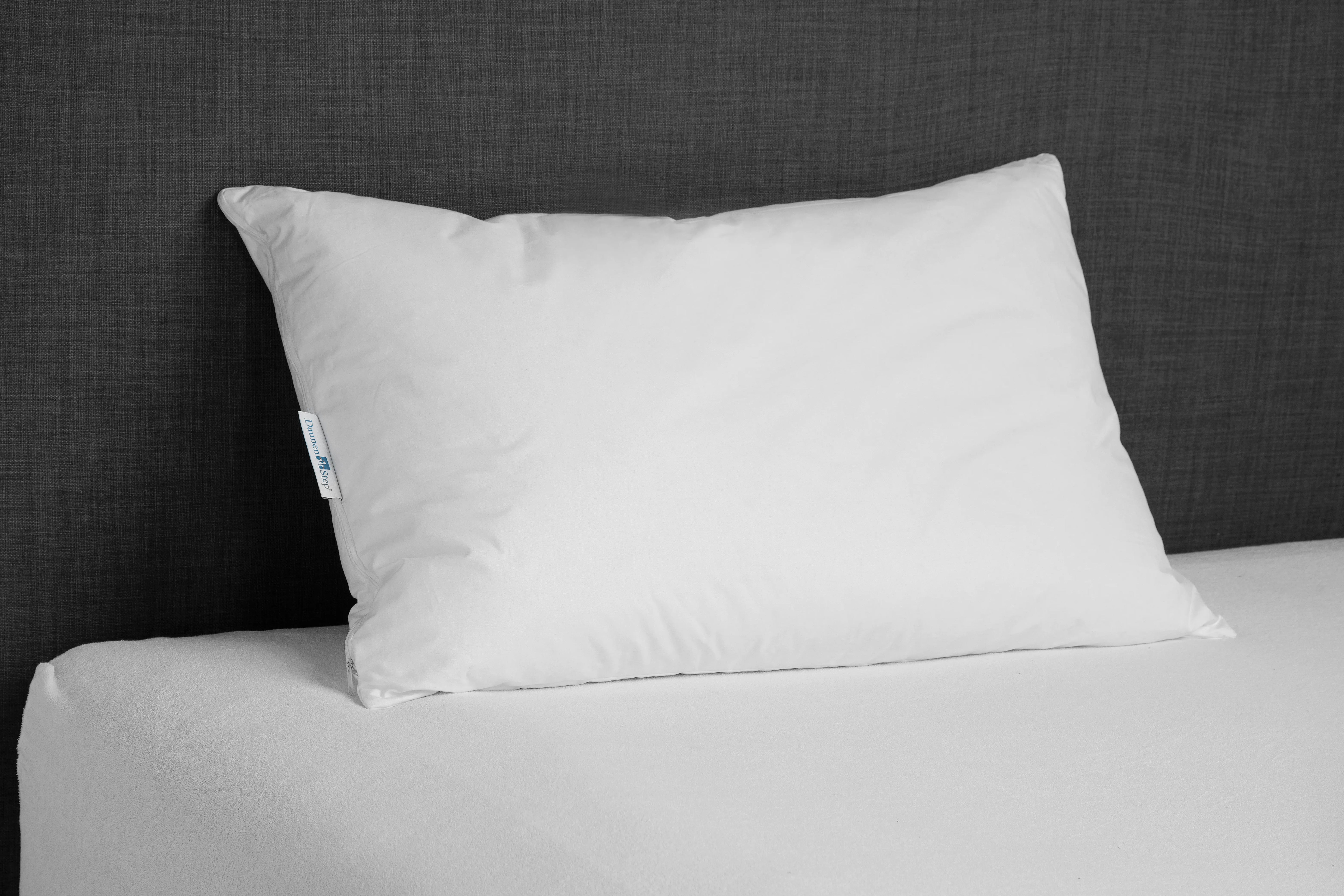 Cuscino con nucleo Perla Lavanda